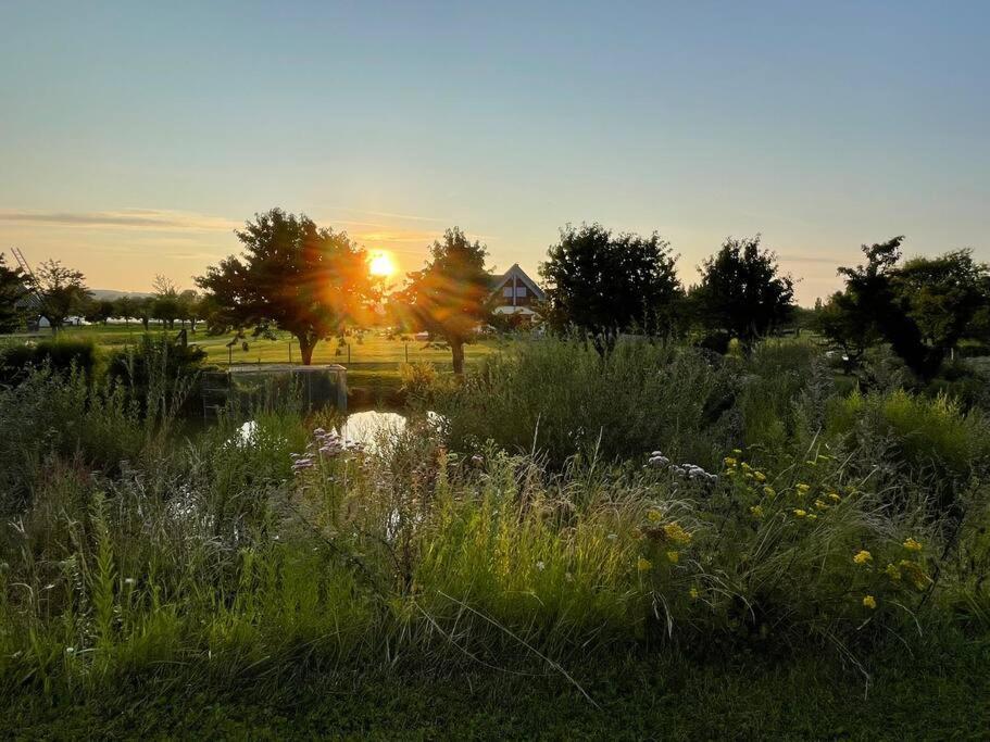 Villa Des Vergers Le Conihout du Mesnil ภายนอก รูปภาพ